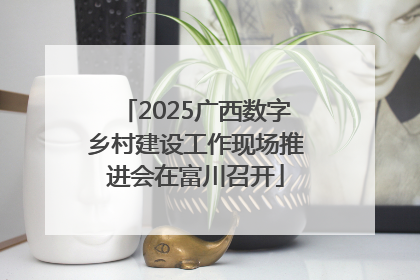 2025广西数字乡村建设工作现场推进会在富川召开