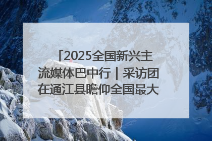 2025全国新兴主流媒体巴中行｜采访团在通江县瞻仰全国最大红军烈士陵园