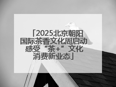2025北京朝阳国际茶香文化周启动 感受“茶+”文化消费新业态