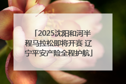 2025沈阳和河半程马拉松即将开赛 辽宁平安产险全程护航