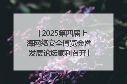 2025第四届上海网络安全博览会暨发展论坛顺利召开