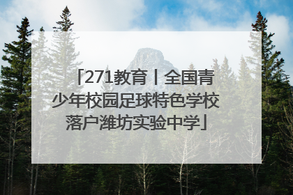 271教育丨全国青少年校园足球特色学校落户潍坊实验中学