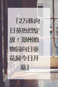2万株向日葵热烈绽放！郑州植物园向日葵花展今日开幕
