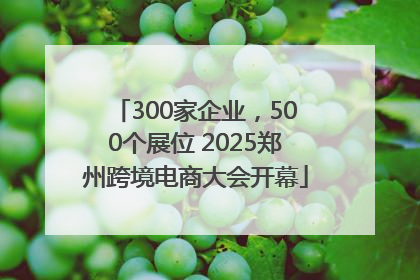 300家企业，500个展位 2025郑州跨境电商大会开幕