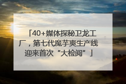 40+媒体探秘卫龙工厂，第七代魔芋爽生产线迎来首次“大检阅”