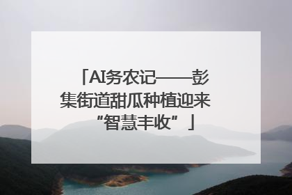 AI务农记——彭集街道甜瓜种植迎来“智慧丰收”