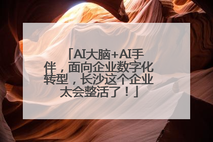 AI大脑+AI手伴，面向企业数字化转型，长沙这个企业太会整活了！