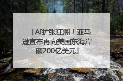 AI扩张狂潮！亚马逊宣布再向美国东海岸砸200亿美元