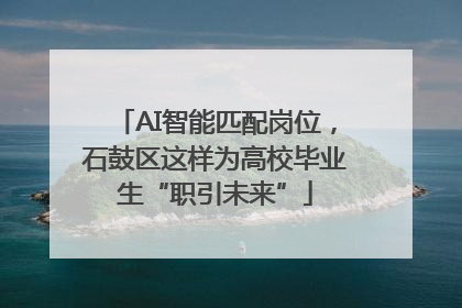 AI智能匹配岗位，石鼓区这样为高校毕业生“职引未来”