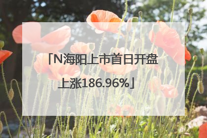 N海阳上市首日开盘上涨186.96%