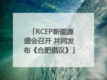 RCEP新能源盛会召开 共同发布《合肥倡议》